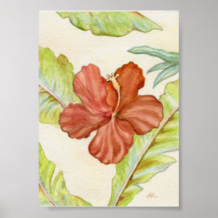 Impressão 5x7 da arte do hibiscus