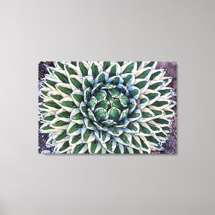 Impressão Agave victoriae-reginae