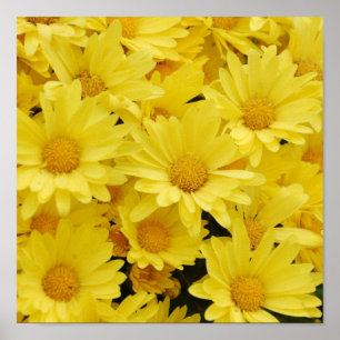 Impressão amarelo da foto das mães