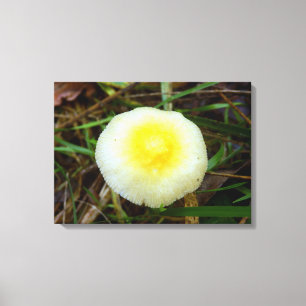 Impressão amarelo das canvas do cogumelo do boné