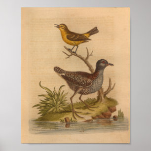 Impressão Amarelo Vintage Bird