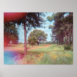 Impressão analógico da floresta de fadas