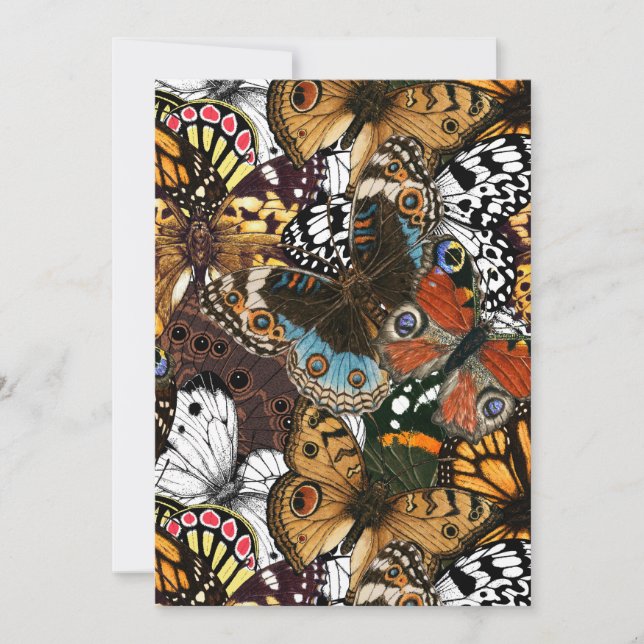 Impressão animal. Asas de borboleta. (Frente)