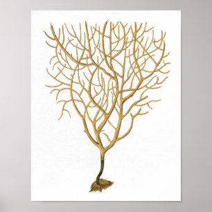 Impressão antigo coral da história No.6 natural 