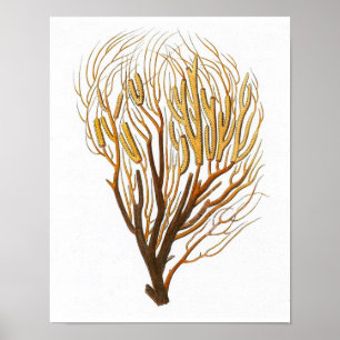 Impressão antigo coral da história No.7 natural 