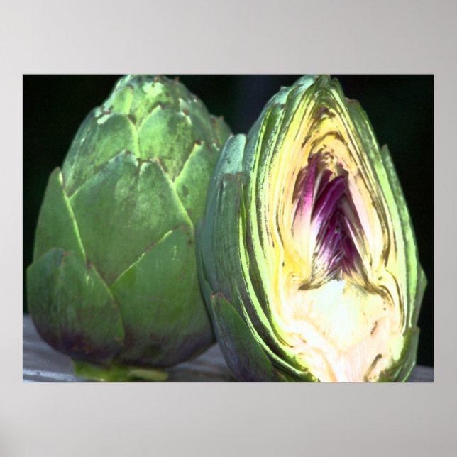 Impressão Artichoke Canvas (Frente)