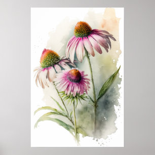 Impressão Artística de Cartaz de Coneflowers Rosa