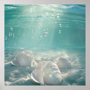 Impressão Artística de Concha de Mar Verde Seafoam