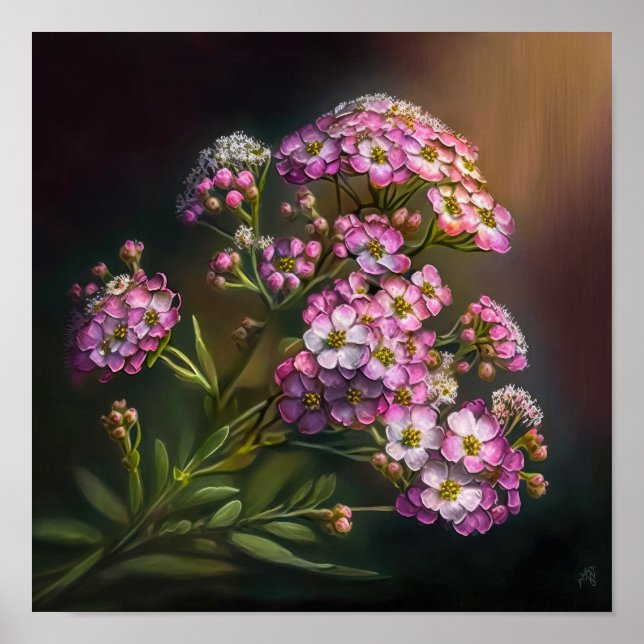 Impressão Artística de Flor de Alyssum Rosa Poster (Frente)