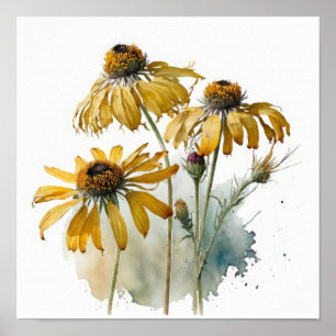 Impressão Artística de Poster de Coneflowers Amare