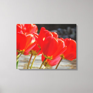 Impressão artística floral de tulipas em tela Flor