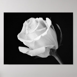 Impressão Artística Fotográfica Preto e Branco Ros