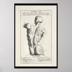 Impressão artístico da arte de 1691 músculos