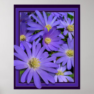 Impressão Azul Azul, Flores, Poster