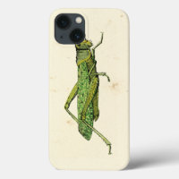 Impressão Bordado de Gafanhoto Verde