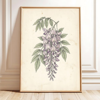 Impressão Botânica Boho de Wisteria Vintage