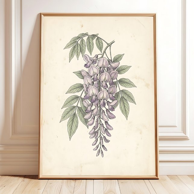 Impressão Botânica Boho de Wisteria Vintage (Criador carregado)