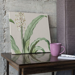 Impressão Botânica de Cor Marinha Antica