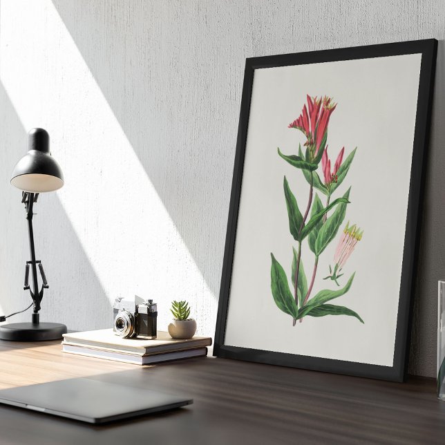 Impressão Botânica de Cor Marinha Antica (Antique Watercolor Botanical Print)