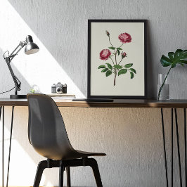 Impressão Botânica de Cor Marinha Antica