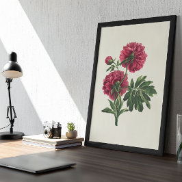 Impressão Botânica de Cor Marinha Antica