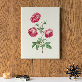 Impressão Botânica de Cor Marinha Antica