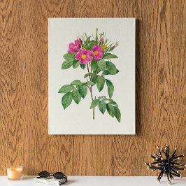 Impressão Botânica de Cor Marinha Antica