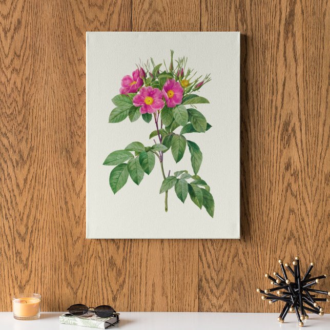 Impressão Botânica de Cor Marinha Antica (Antique Watercolor Botanical Print)