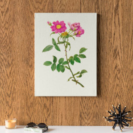 Impressão Botânica de Cor Marinha Antica