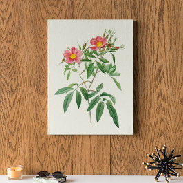 Impressão Botânica de Cor Marinha Antica