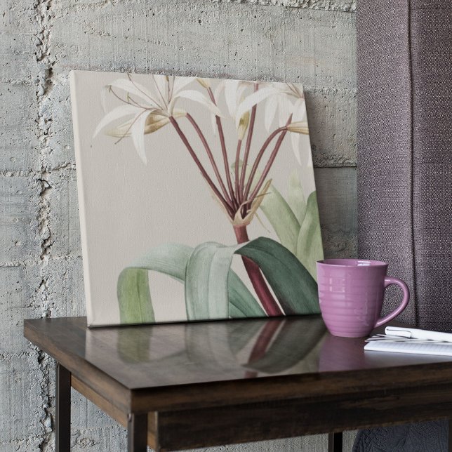 Impressão Botânica de Cor Marinha Antica (Watercolor Antique Botanical Print Poster)