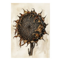 Impressão Botânica de Girassol Seco | Natureza Vin