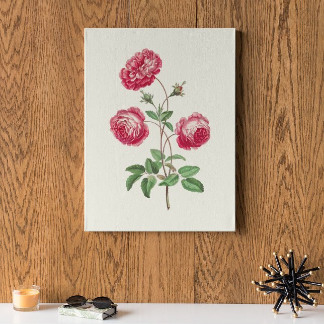 Impressão Botânica em Aquarela Antiga (Antique Watercolor Botanical Print)