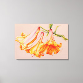 Impressão botânica em tela de arte fina de Lírios