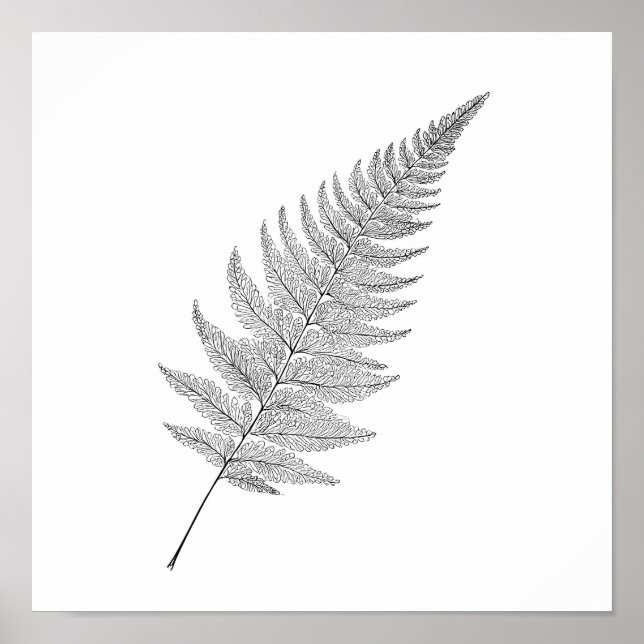 Impressão Botânica Minimalista: Elegante Samambaia (Frente)