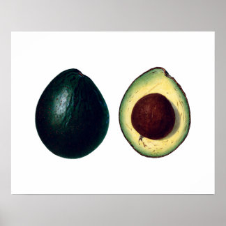 IMPRESSÃO botânico AVOCADOS