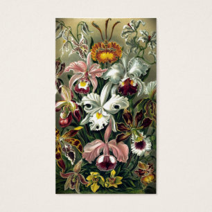 Impressão botânico da orquídea