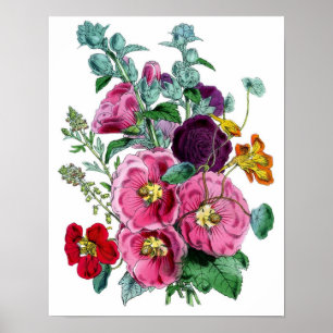 Impressão botânico - Hollyhocks & rosas