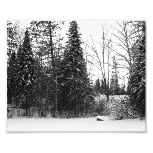 Impressão BW da foto da cena do inverno