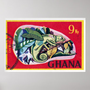 Impressão Camaleão Vintage Ganesa - Selo Postal