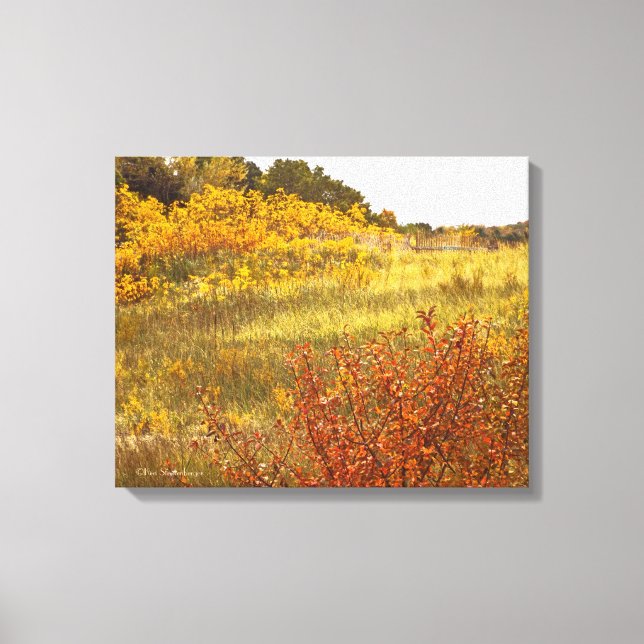 impressão "CAMPO DE CANVAS DOURADA" (Frente)