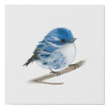 Impressão Canvas de  de Faux de Warbler Azul