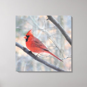Impressão cardinal vermelho do norte das canvas