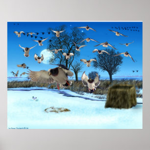 Impressão cego do pato