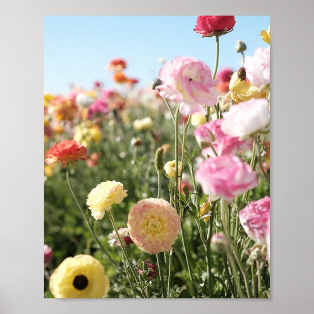 Impressão colorida de flores, papel de pôster (sem (Frente)
