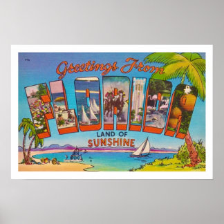 Impressão Colorida de Saudações Vintage da Flórida