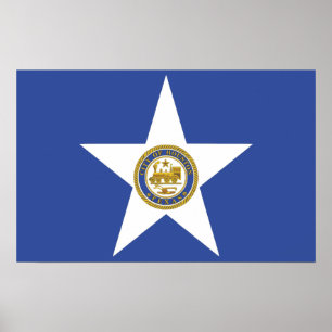 Impressão com a bandeira de Houston, EUA