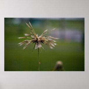 Impressão com defleção