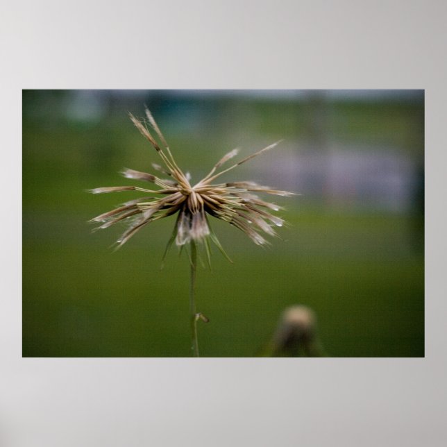 Impressão com defleção (Frente)