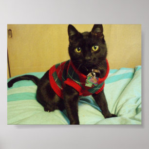 Impressão considerável do poster de Seimei